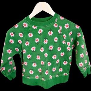 Hanna Andersson Girls’ Green Floral Sweatshirt
